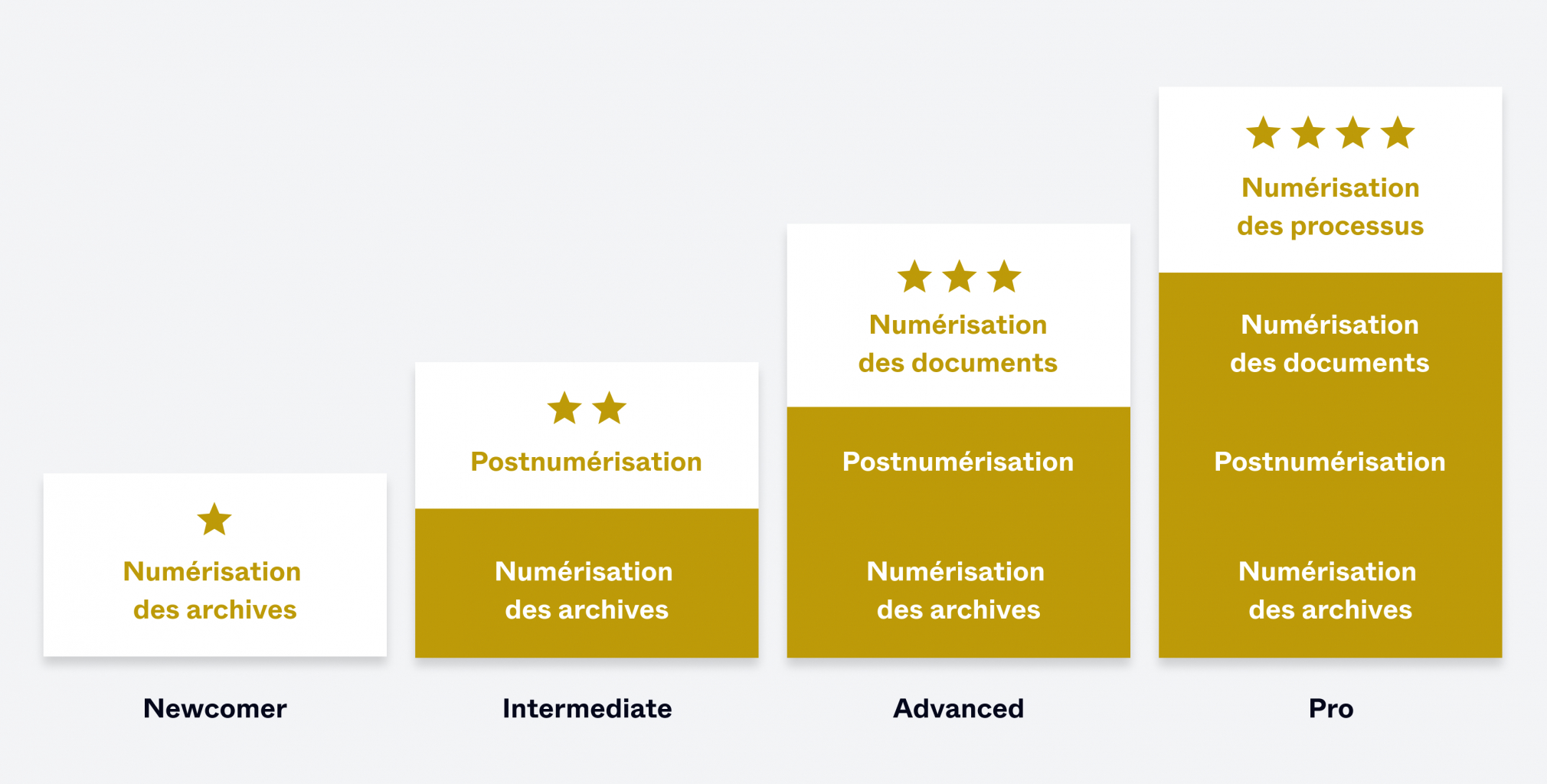 infografik Digitales Fitnesslevel FR